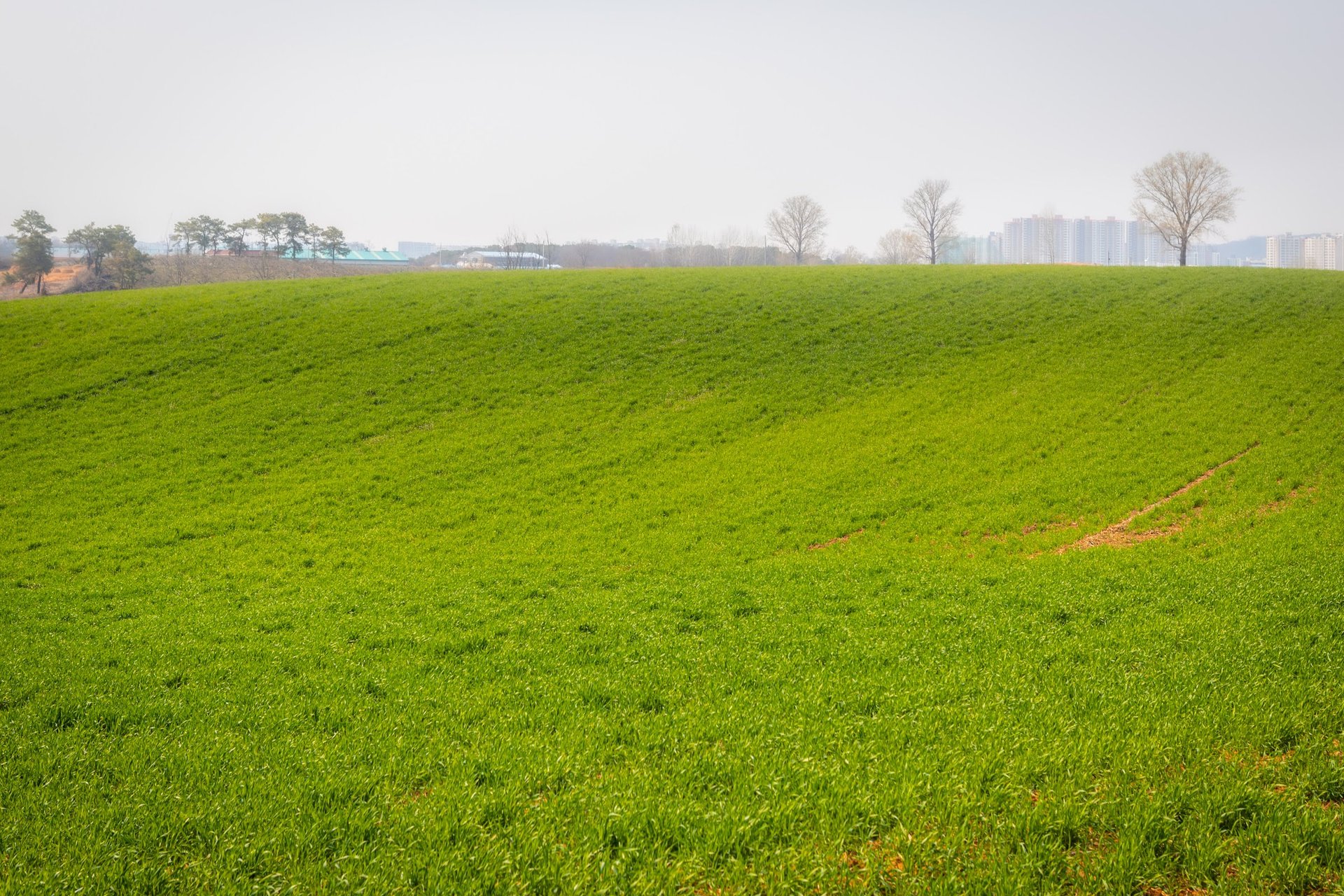 2026 연간 보고서