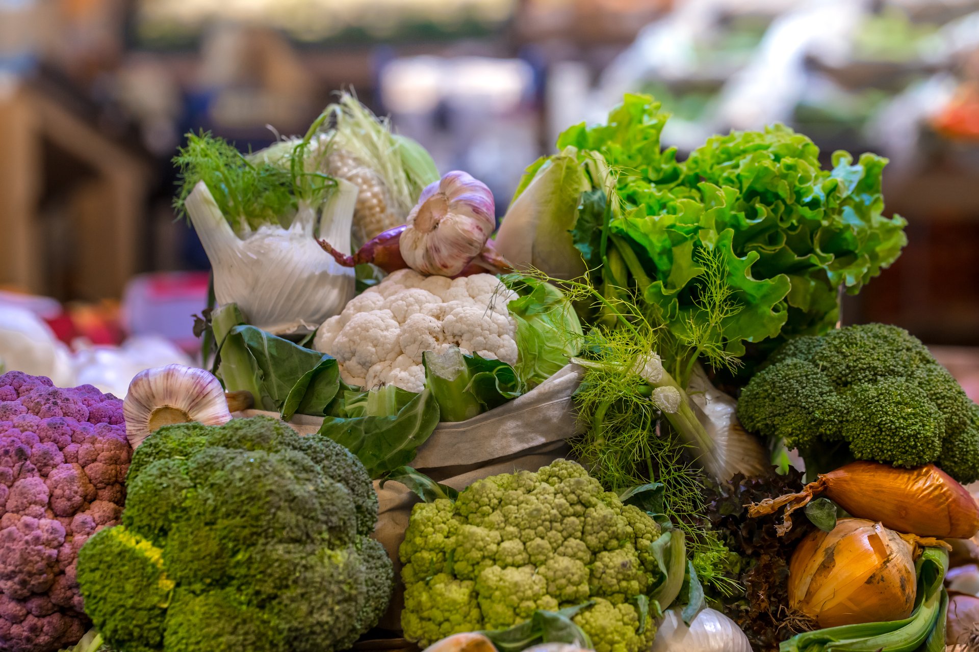 외부 회계감사 보고서