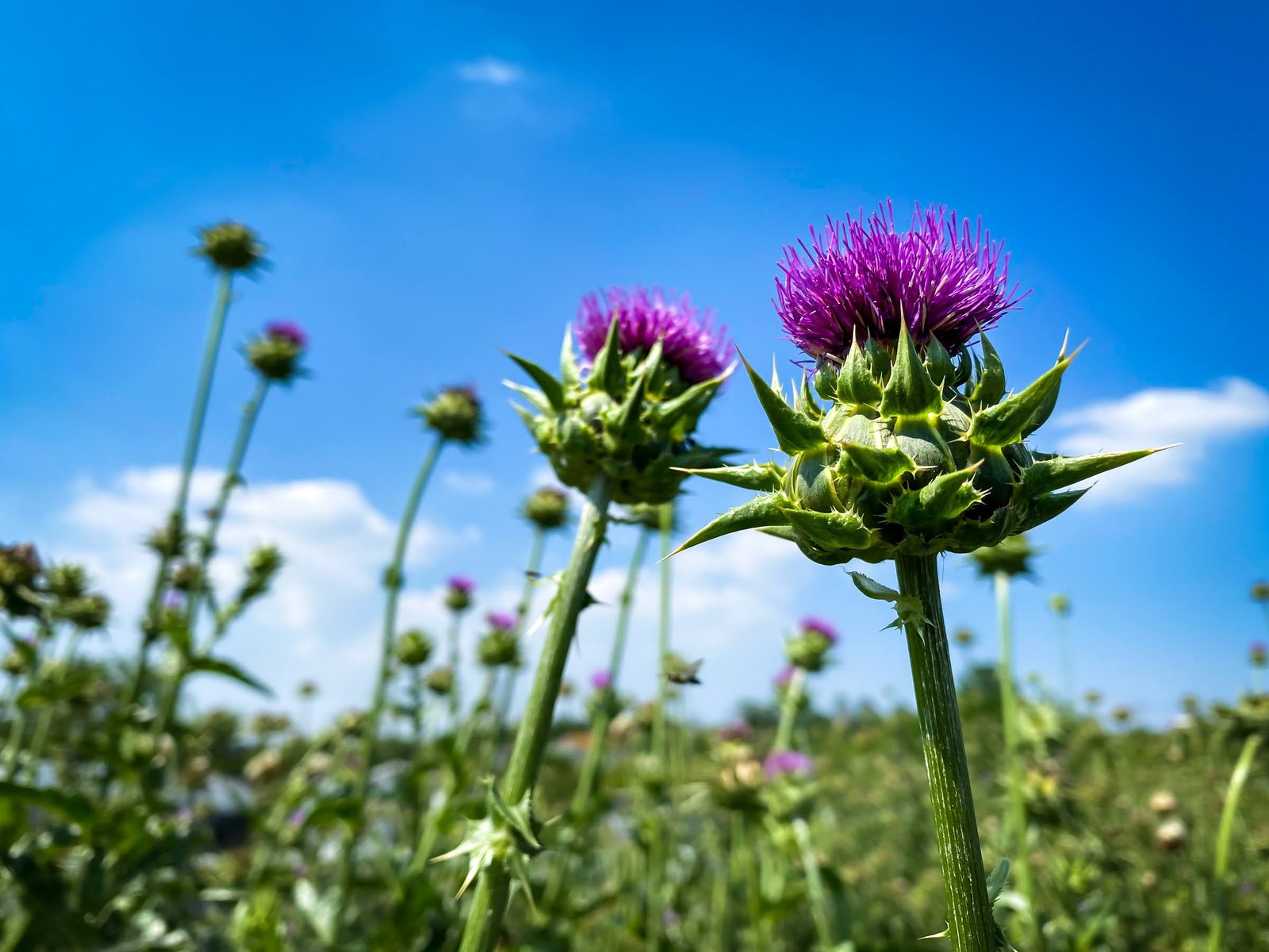 숫자로 보는 한국 농업의 변화 — 2000~2024