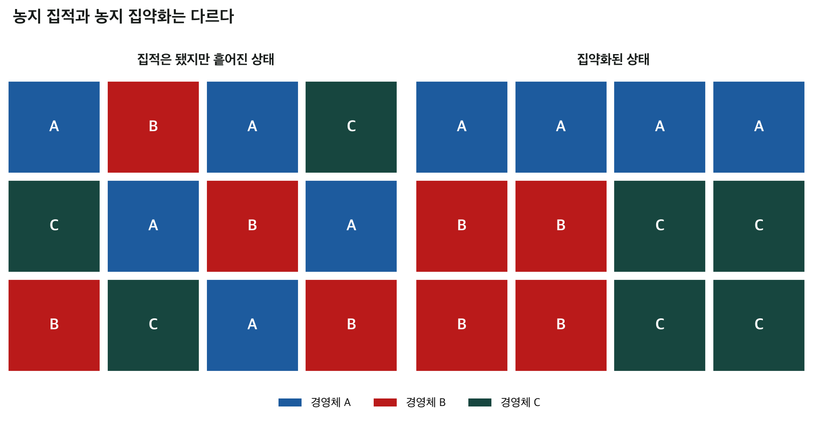 흩어진 필지에 여러 경영체가 뒤섞인 상태와, 인접한 필지로 묶여 정리된 집약화 상태를 색상별로 비교한 필지 모식도