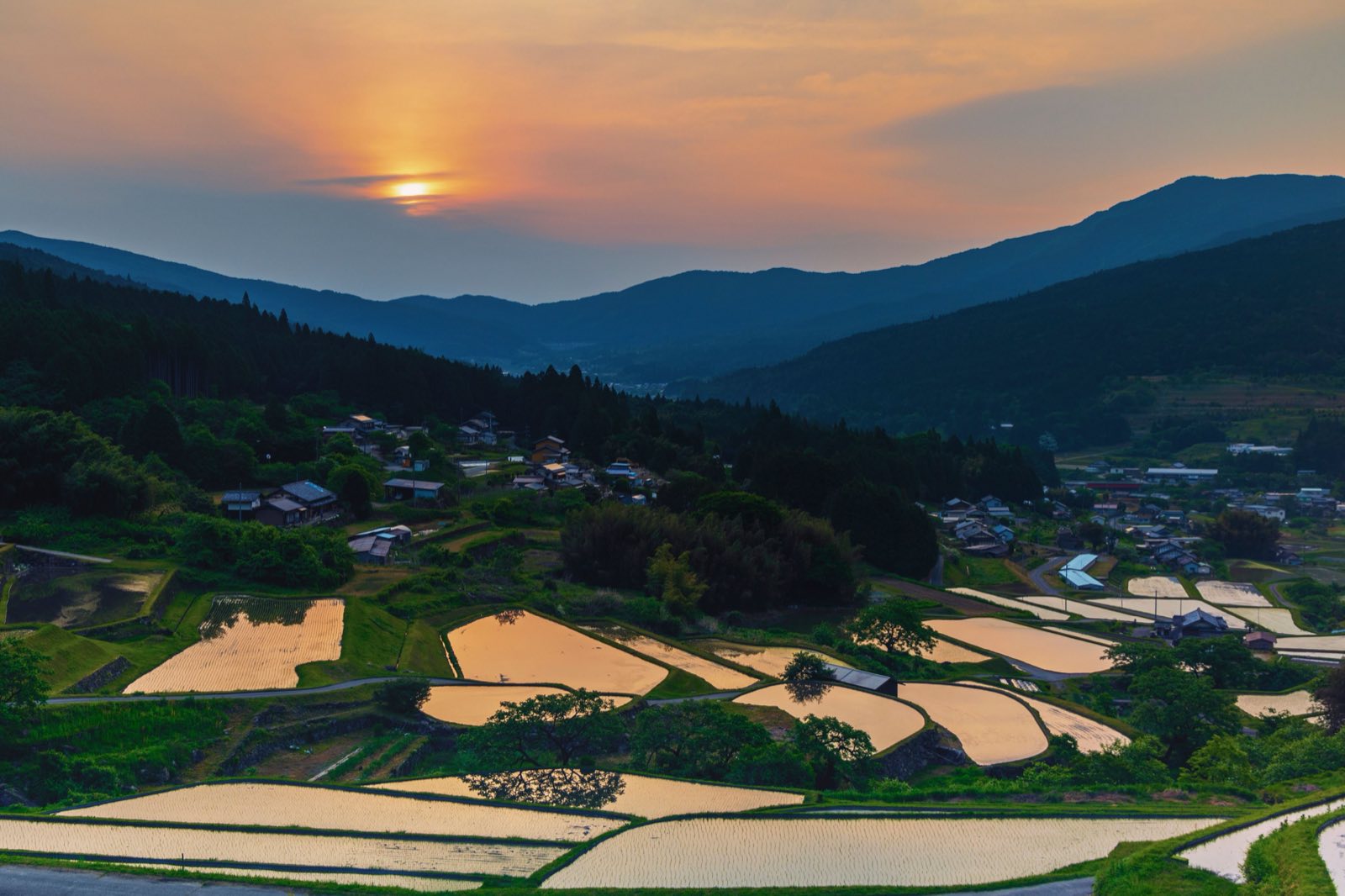 노을 지는 다랑논과 산골 마을 (일본 농촌 풍경)